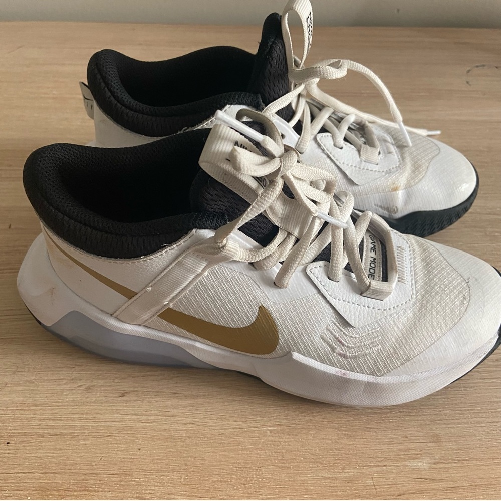 Nike Basketball Shoes